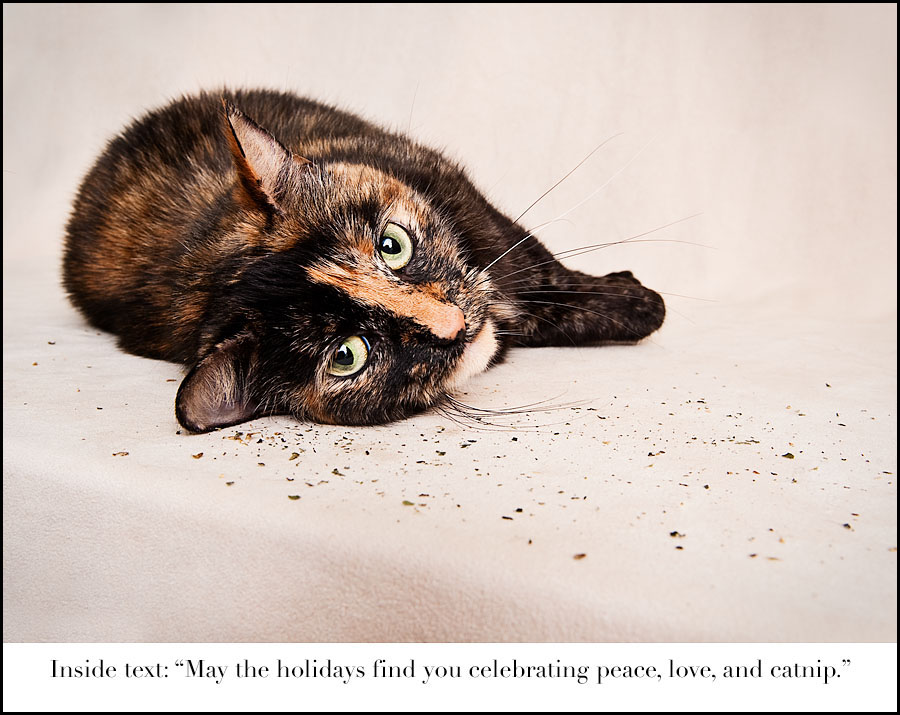 HSCC benefit holiday card featuring Uma