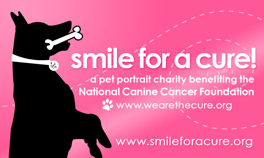 smileforacure_OfficialLogo_web